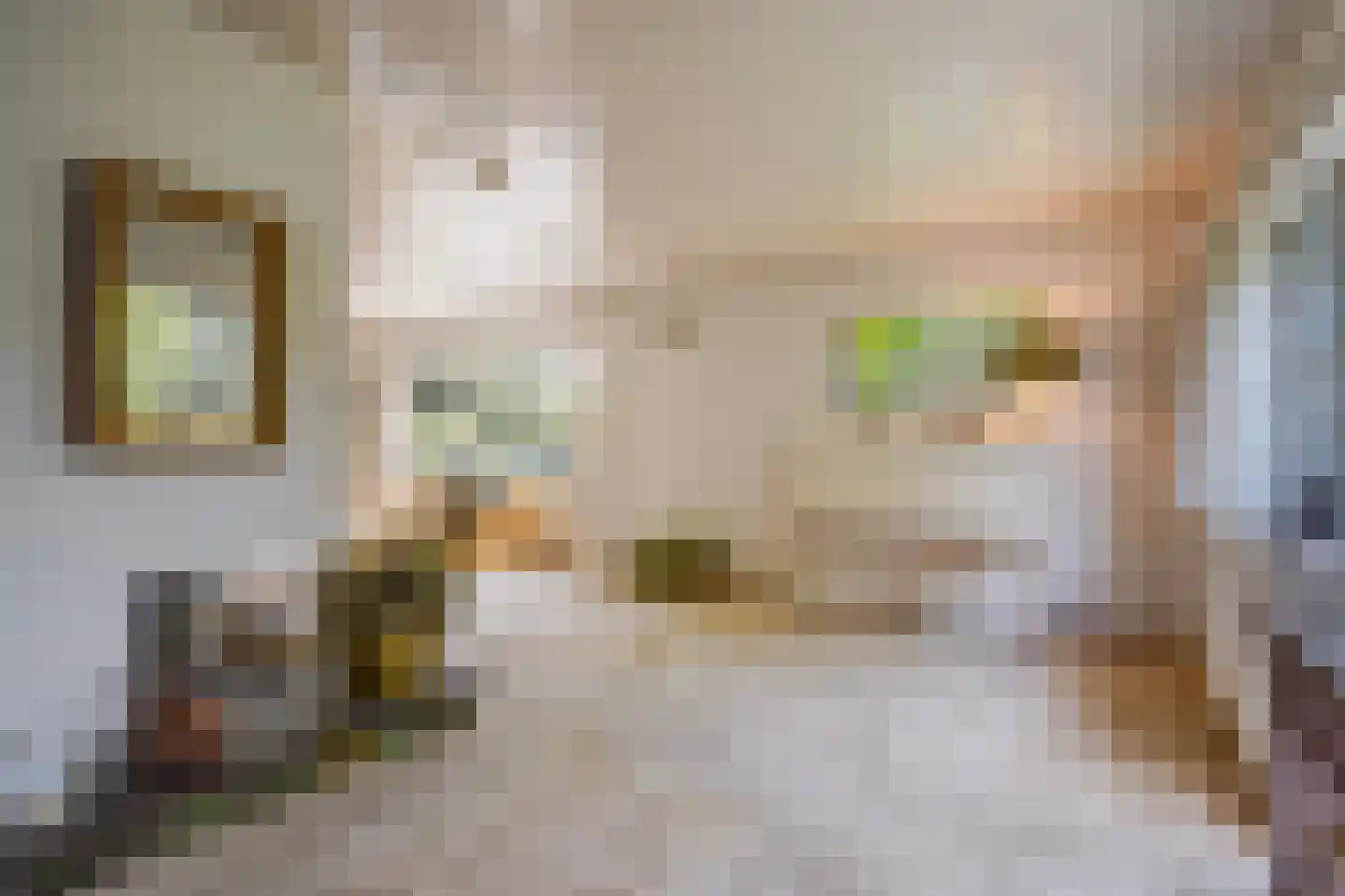 Kanarielaan 19 Den Haag thumbnail 12
