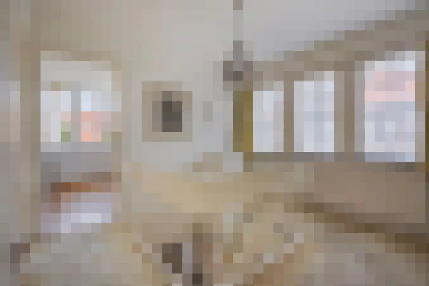 Kanarielaan 19 Den Haag thumbnail 27
