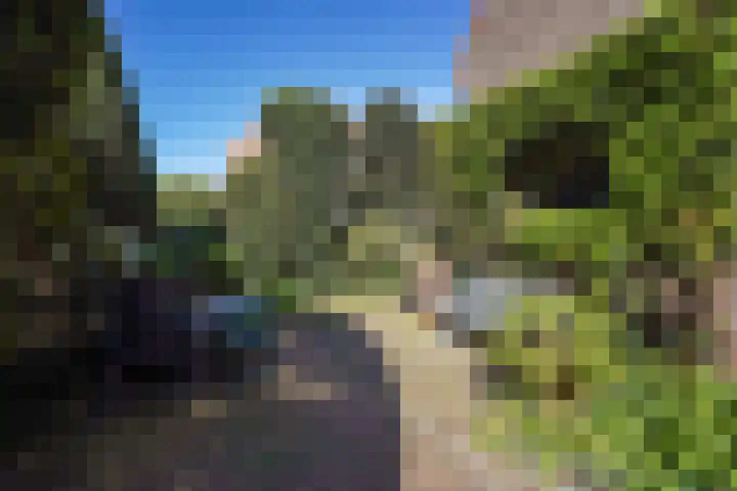 Kanarielaan 19 Den Haag thumbnail 4