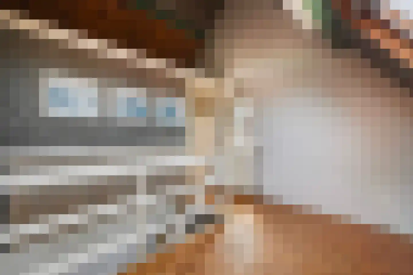 Kanarielaan 19 Den Haag thumbnail 42