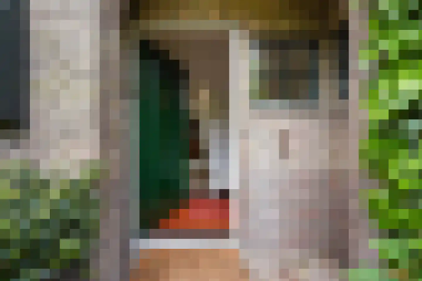 Kanarielaan 19 Den Haag thumbnail 6