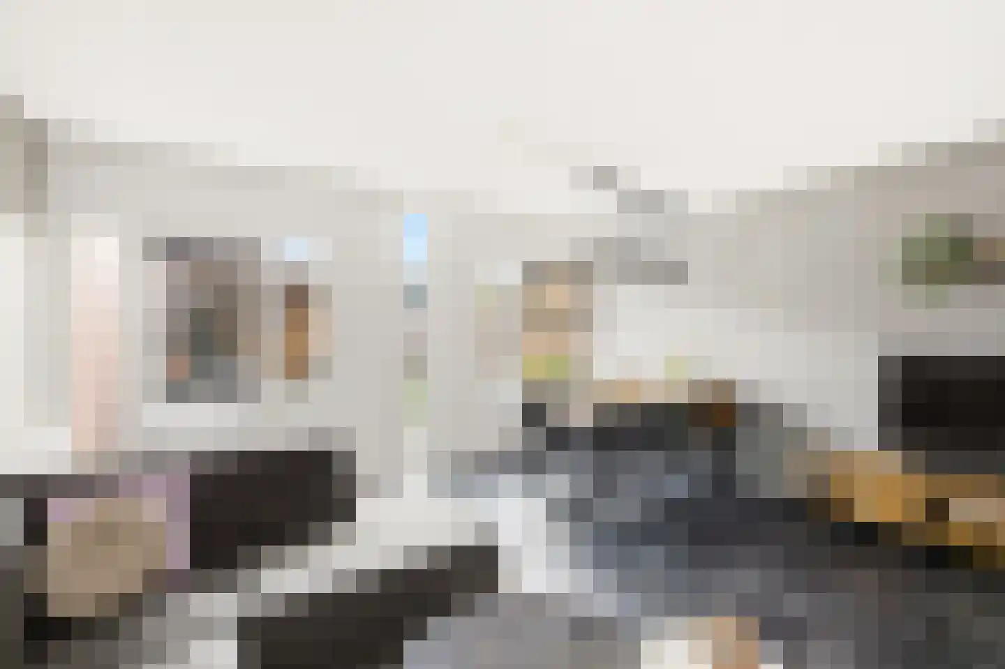 Kanariesprenk 105 Vlissingen thumbnail 10