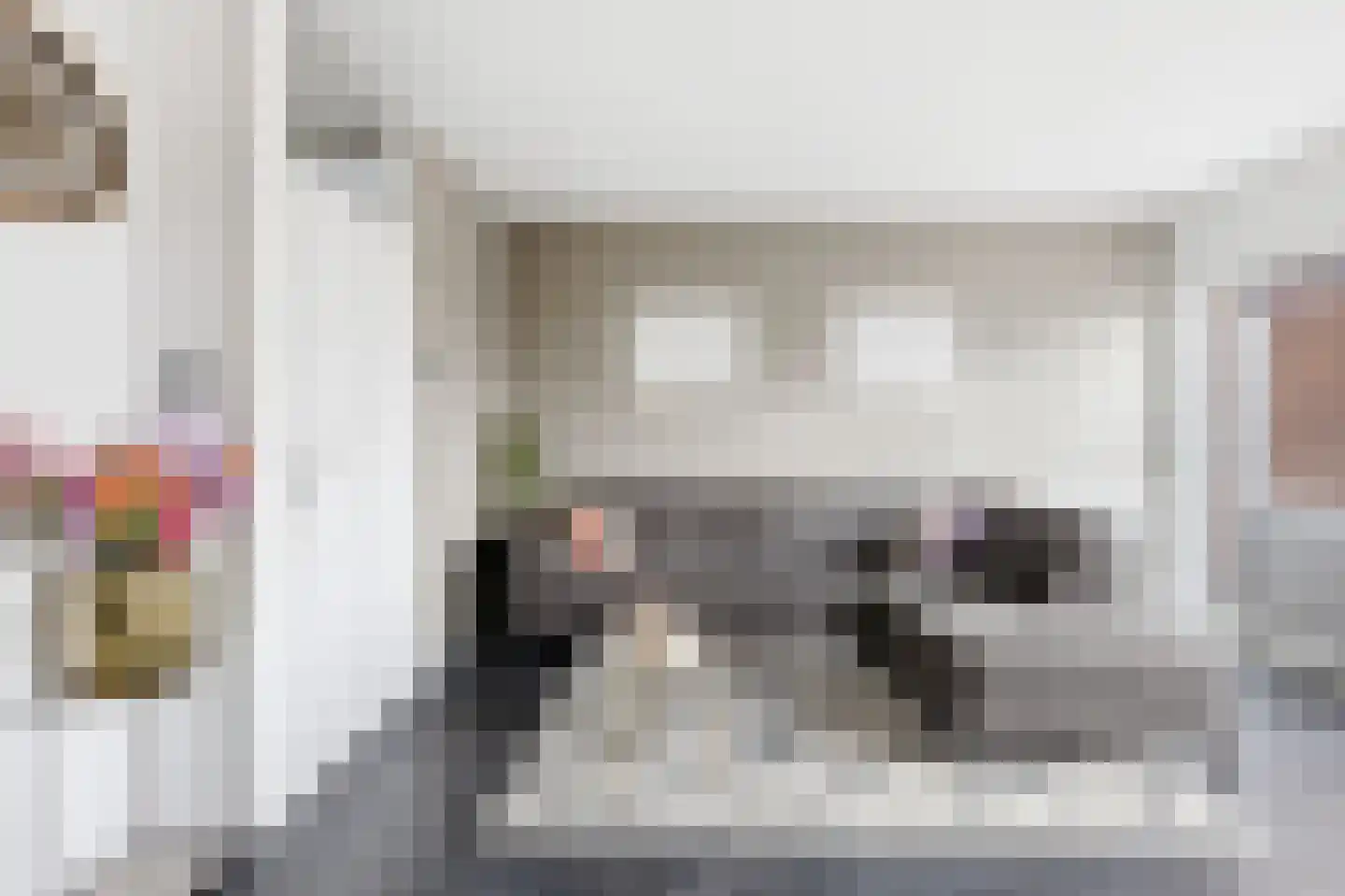 Kanariesprenk 105 Vlissingen thumbnail 11