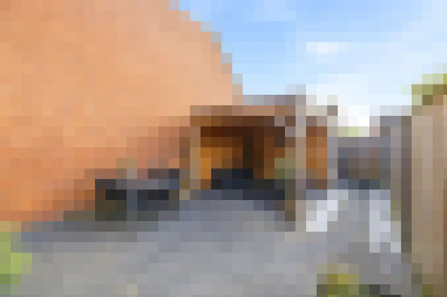 Kanariesprenk 105 Vlissingen thumbnail 16