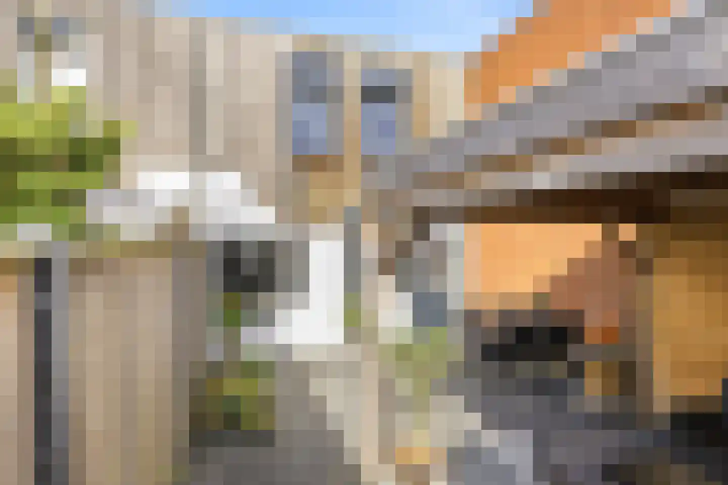 Kanariesprenk 105 Vlissingen thumbnail 20