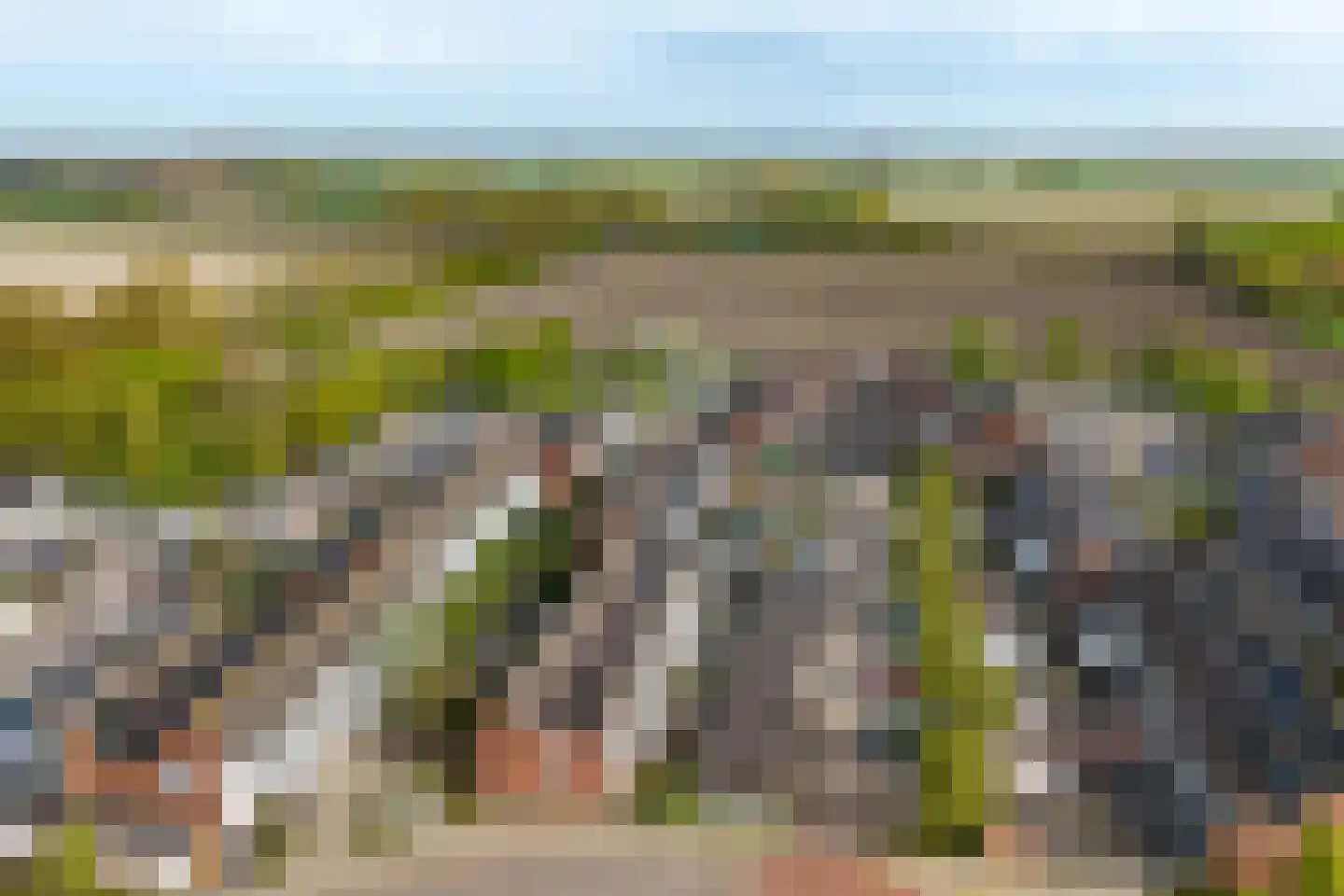 Kanariesprenk 105 Vlissingen thumbnail 31