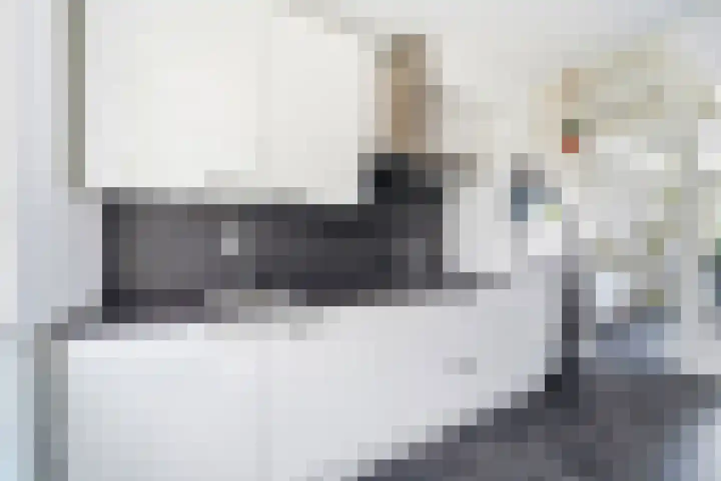 Kanariesprenk 11 Vlissingen thumbnail 10