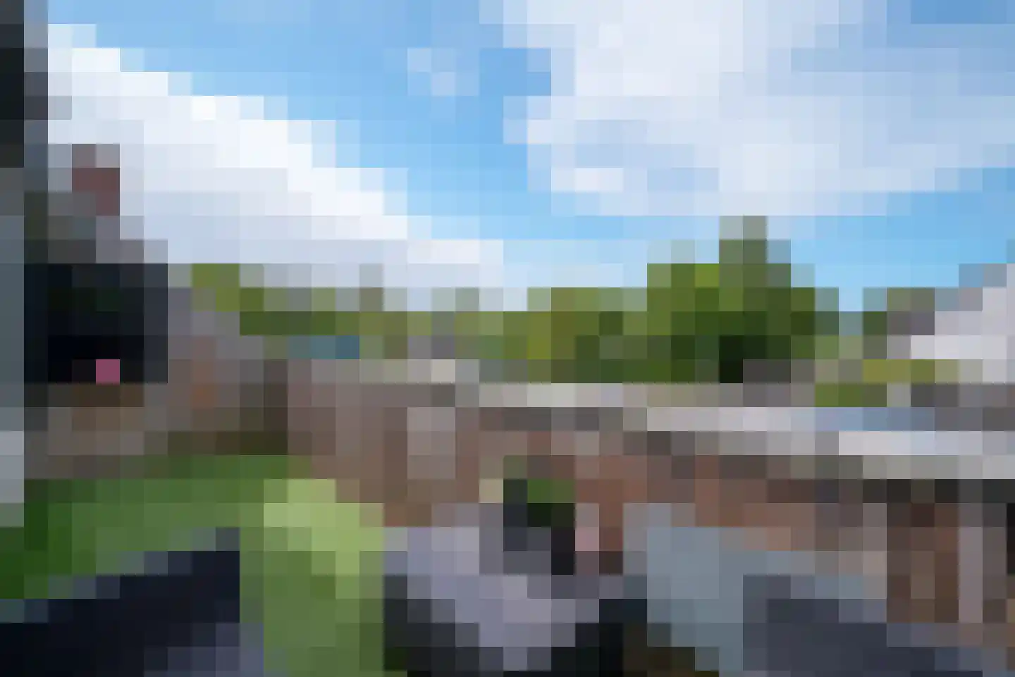 Kanariesprenk 11 Vlissingen thumbnail 11