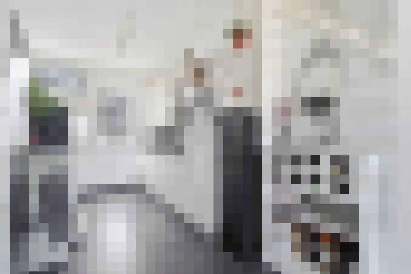 Kanariesprenk 11 Vlissingen thumbnail 7