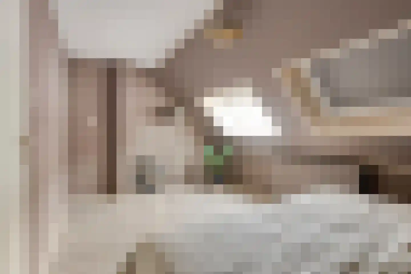 Kanariesprenk 117 Vlissingen thumbnail 18