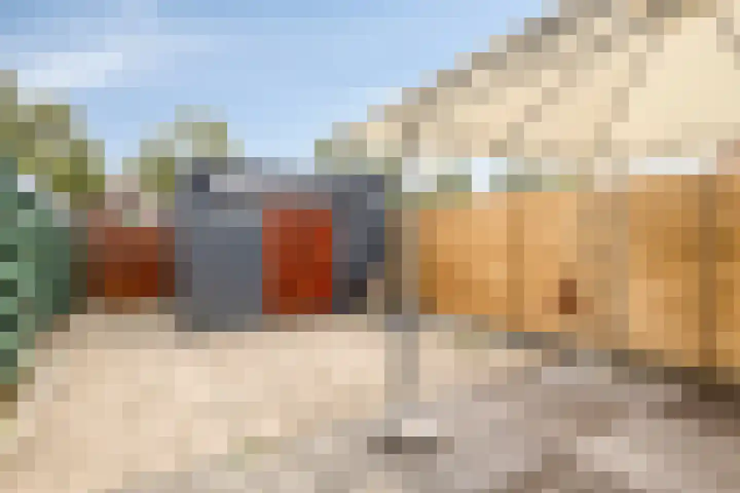 Kanariesprenk 117 Vlissingen thumbnail 22