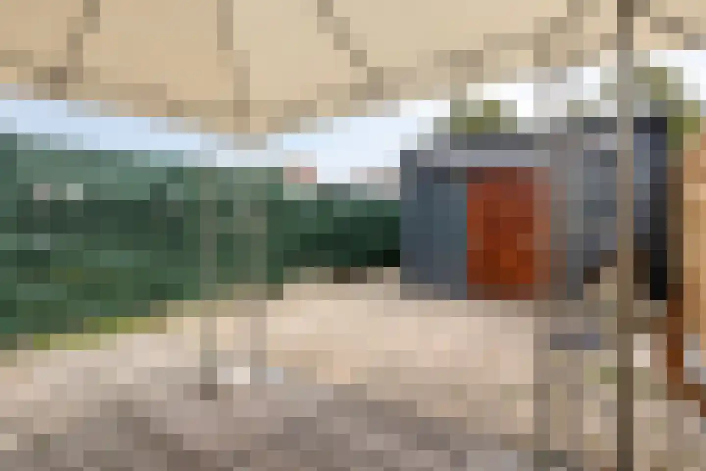 Kanariesprenk 117 Vlissingen thumbnail 23