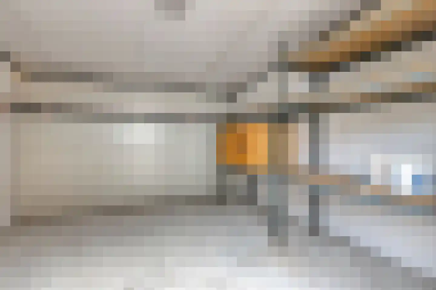 Kanariesprenk 117 Vlissingen thumbnail 24