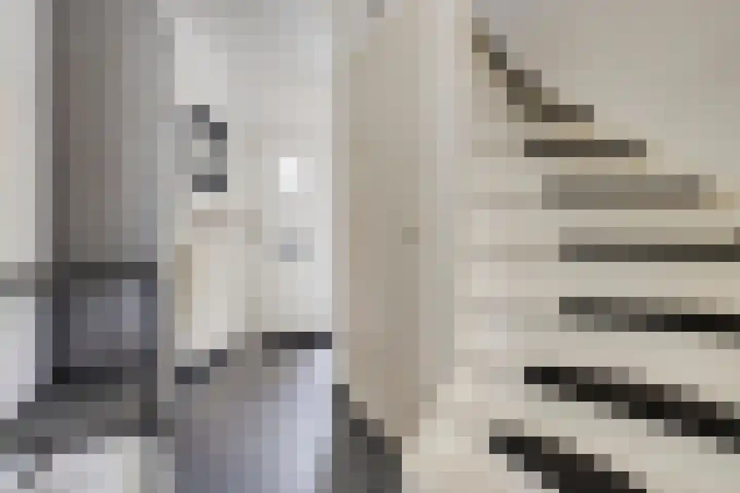Kanariesprenk 117 Vlissingen thumbnail 8