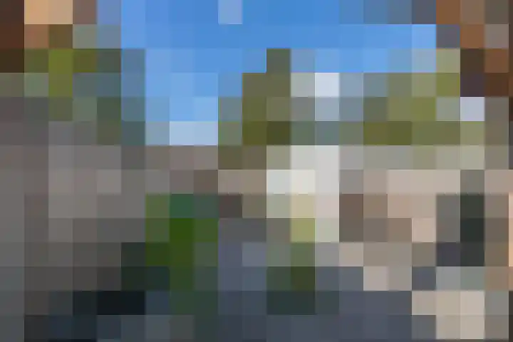 Kanariesprenk 149 Vlissingen thumbnail 26