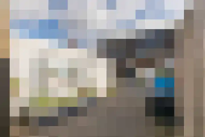 Kanariesprenk 149 Vlissingen thumbnail 27