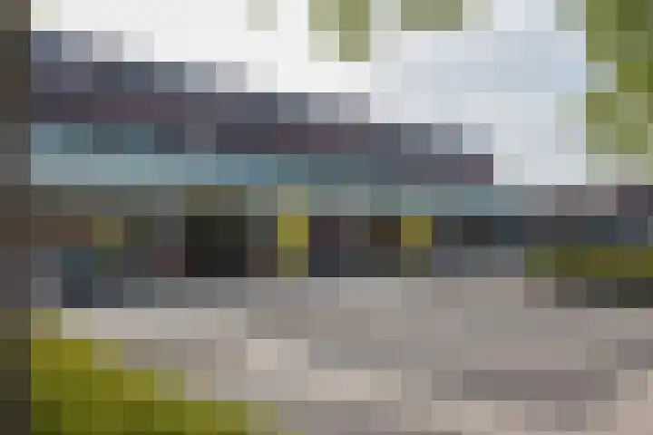 Kanariesprenk 149 Vlissingen thumbnail 34