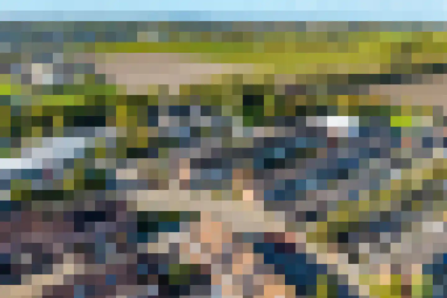 Kanariesprenk 17 Vlissingen thumbnail 16