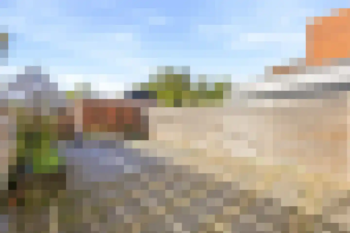 Kanariesprenk 17 Vlissingen thumbnail 6