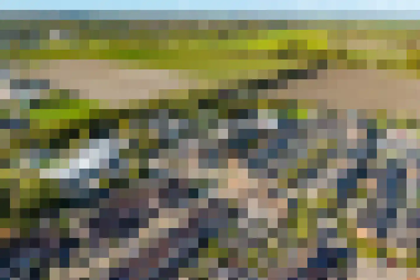 Kanariesprenk 17 Vlissingen thumbnail 7