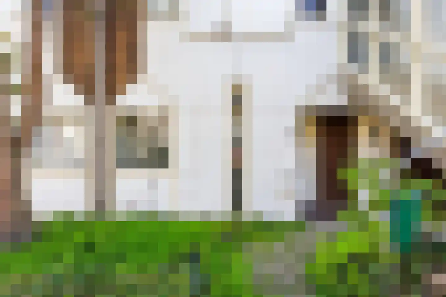 Kanariesprenk 17 Vlissingen thumbnail 8