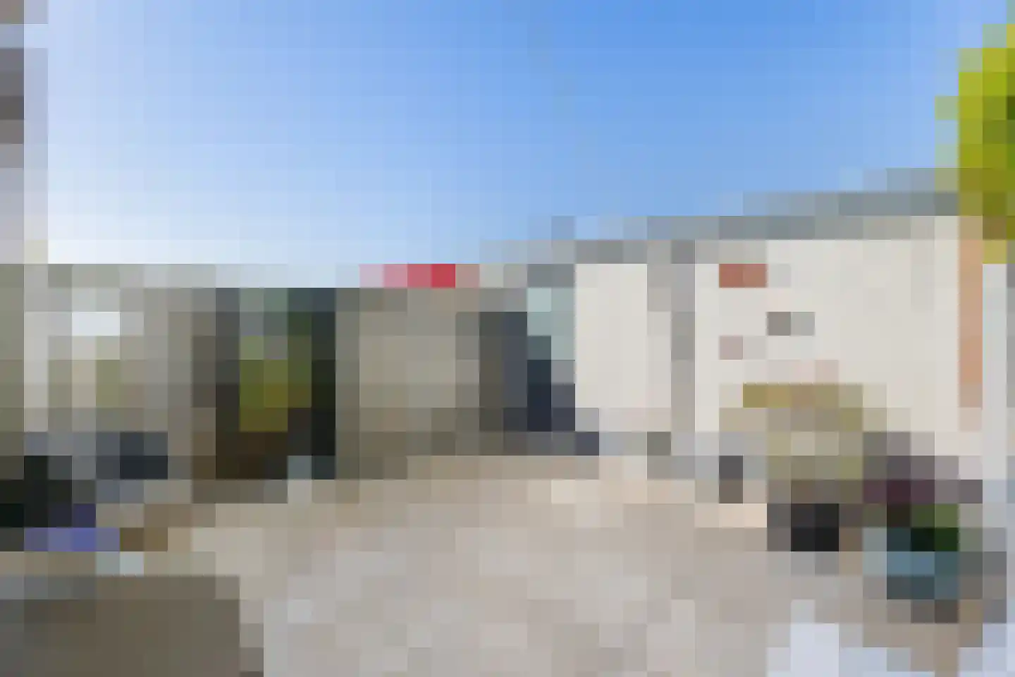 Kanariesprenk 181 Vlissingen thumbnail 13