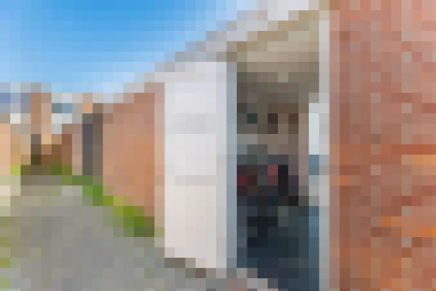 Kanariesprenk 181 Vlissingen thumbnail 14