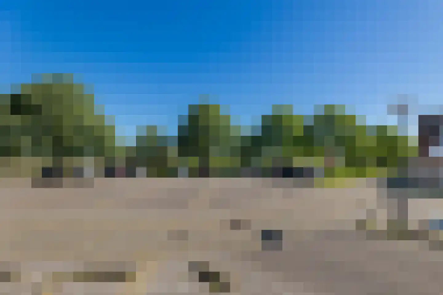 Kanariesprenk 181 Vlissingen thumbnail 21