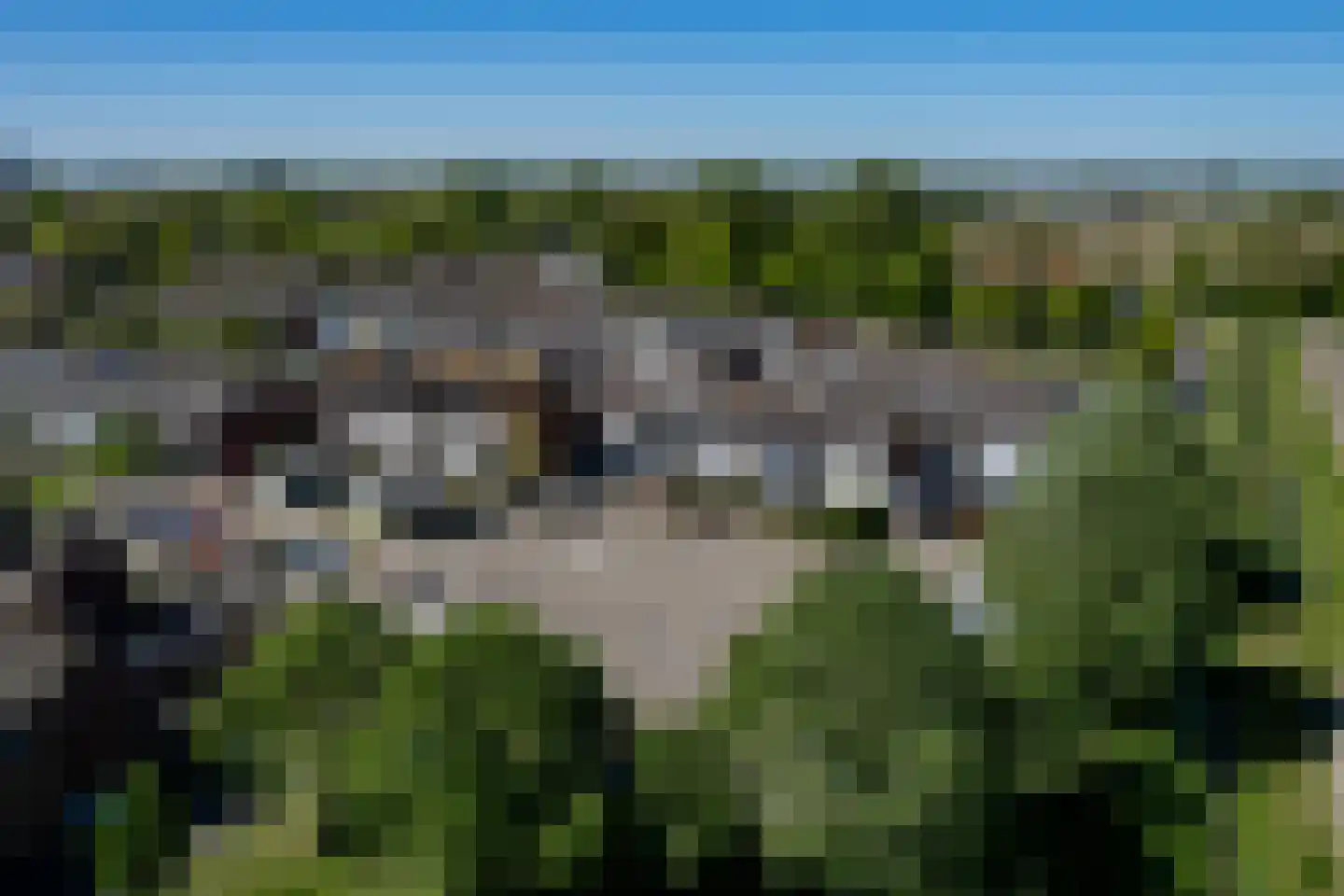 Kanariesprenk 181 Vlissingen thumbnail 22