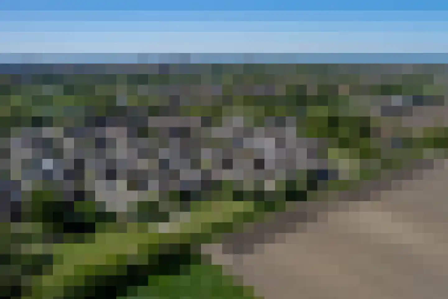 Kanariesprenk 181 Vlissingen thumbnail 5