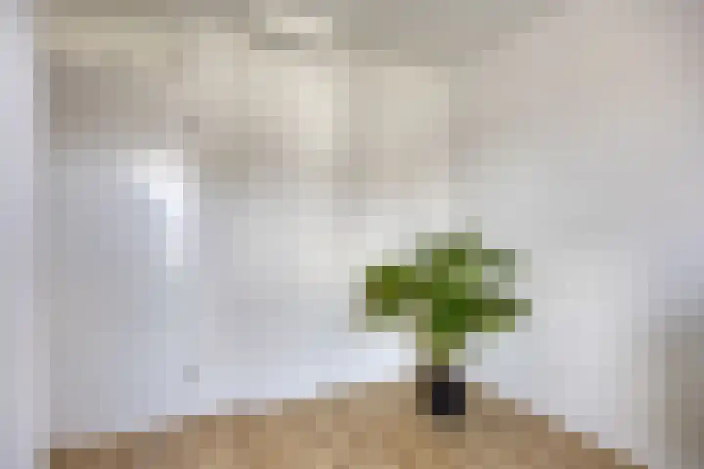 Kanariesprenk 203 Vlissingen thumbnail 17