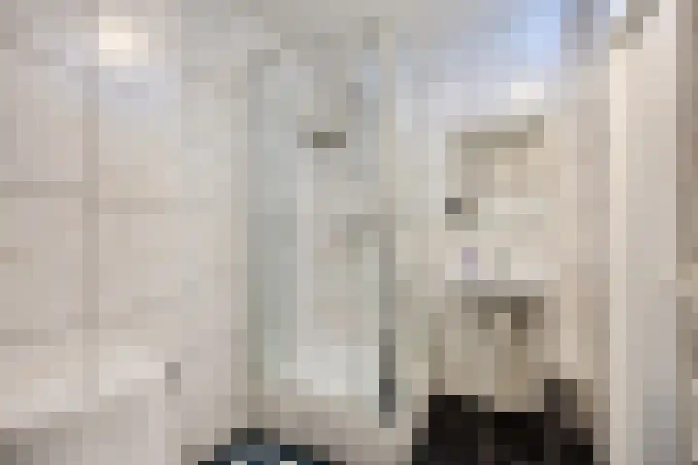 Kanariesprenk 203 Vlissingen thumbnail 18