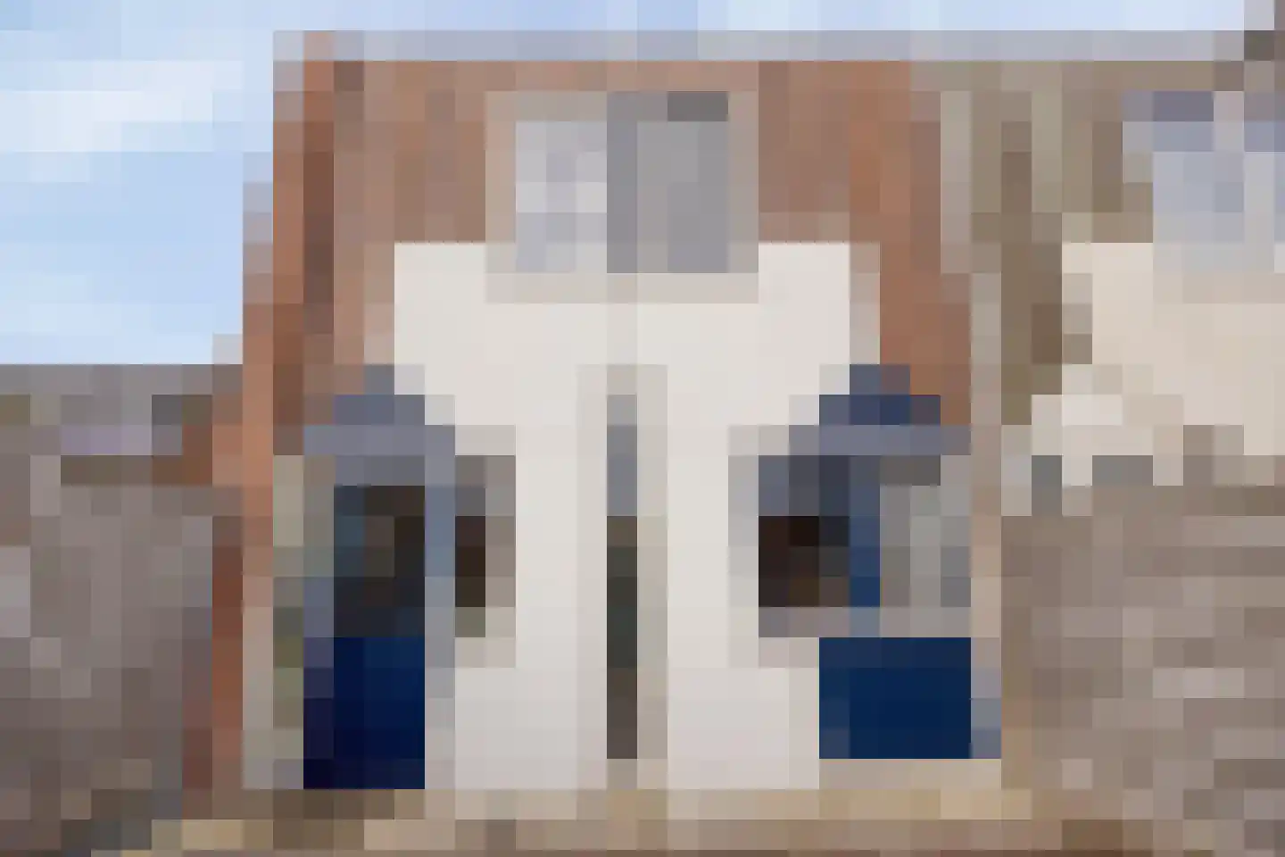 Kanariesprenk 203 Vlissingen thumbnail 20