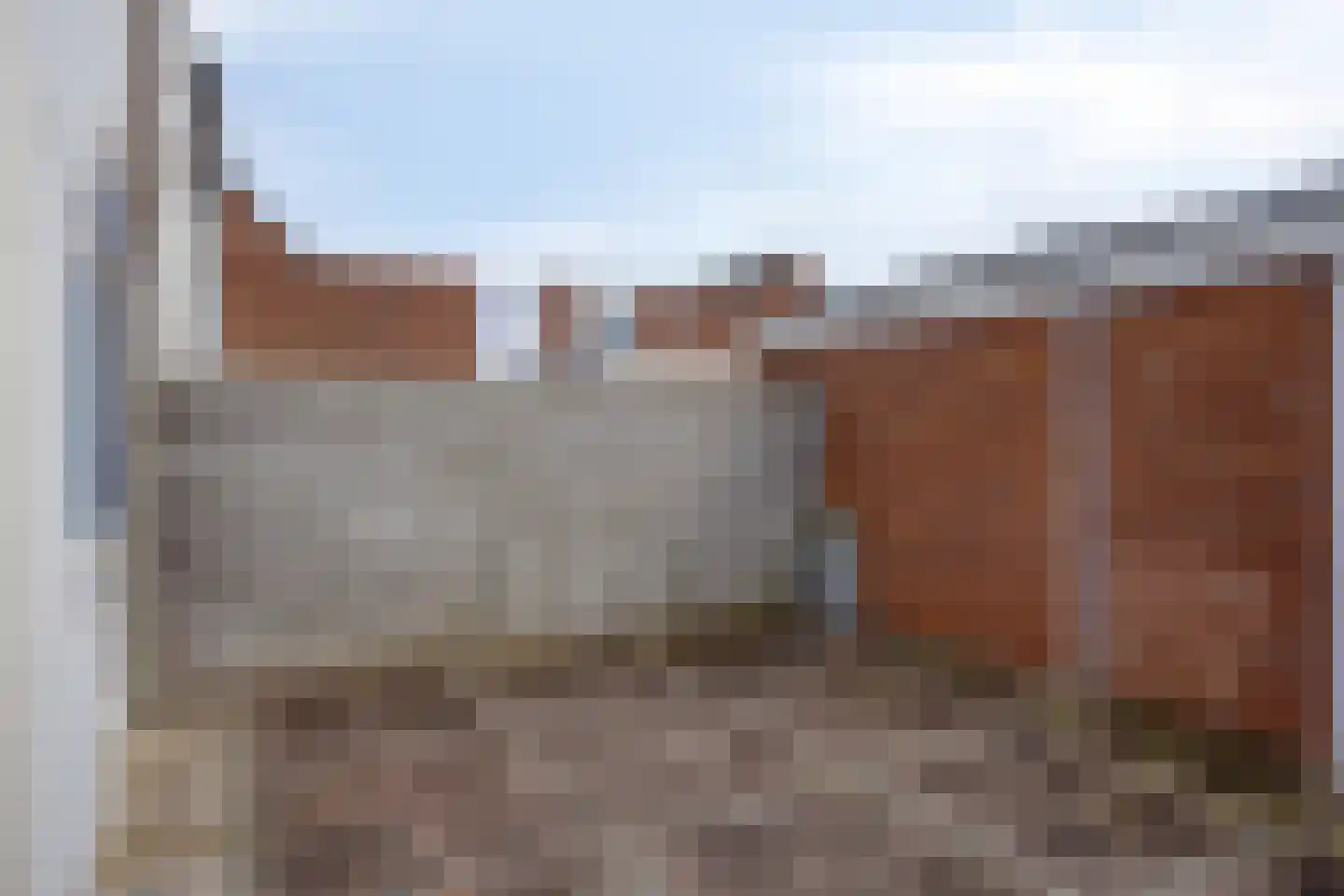 Kanariesprenk 203 Vlissingen thumbnail 21