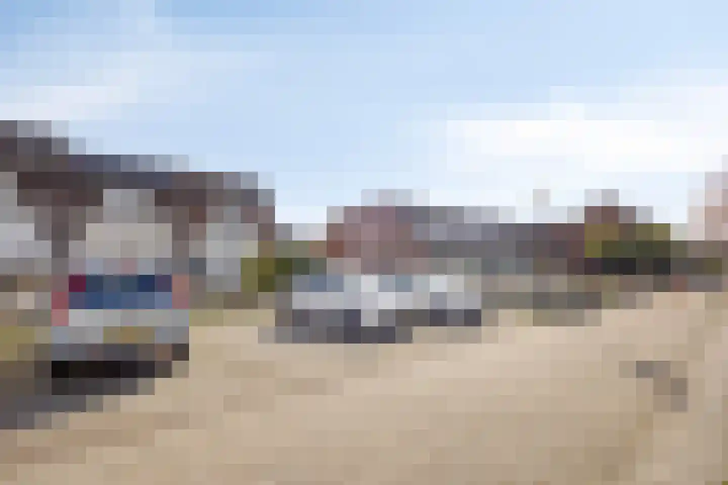 Kanariesprenk 203 Vlissingen thumbnail 24