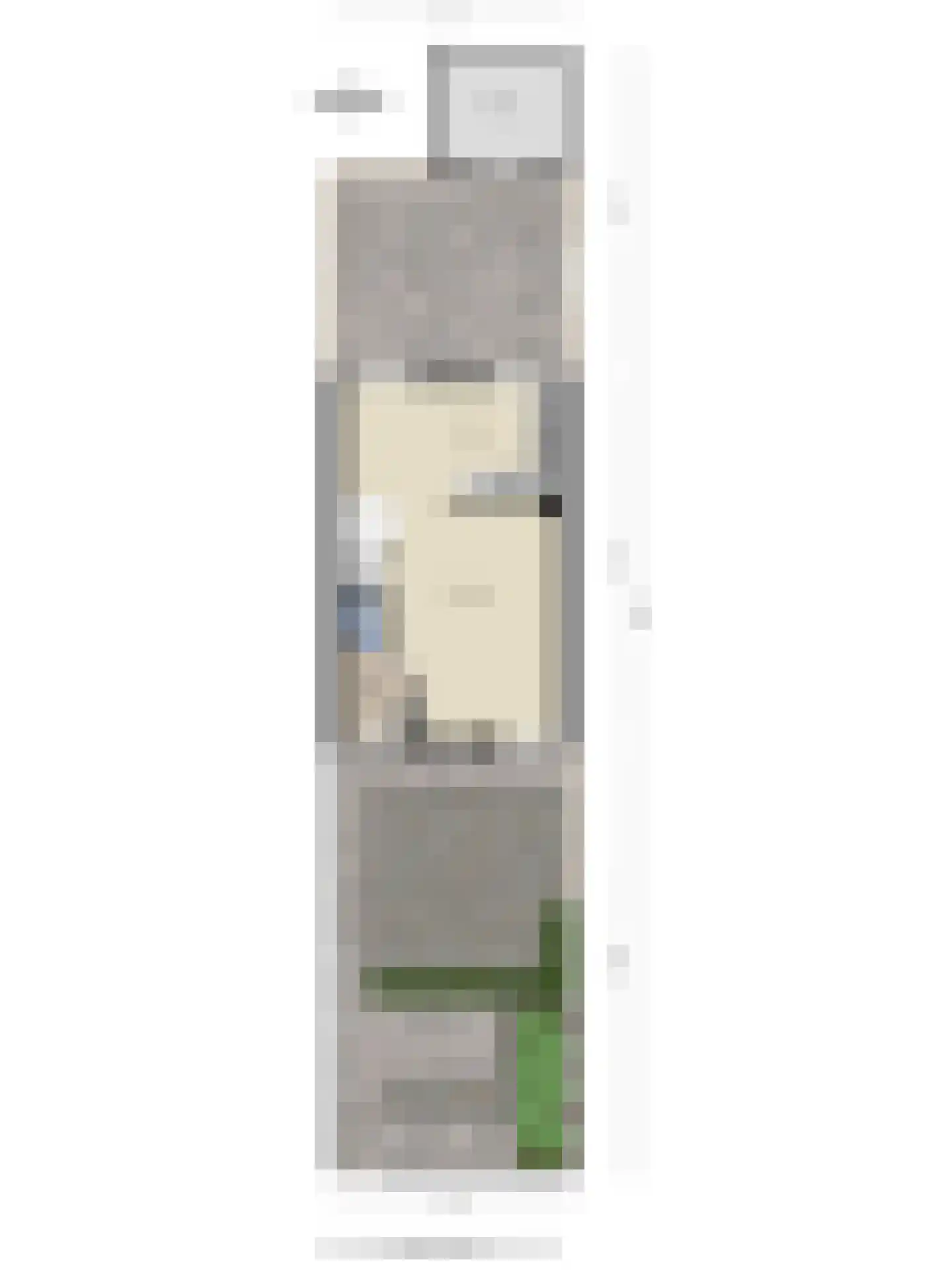 Kanariesprenk 203 Vlissingen thumbnail 26
