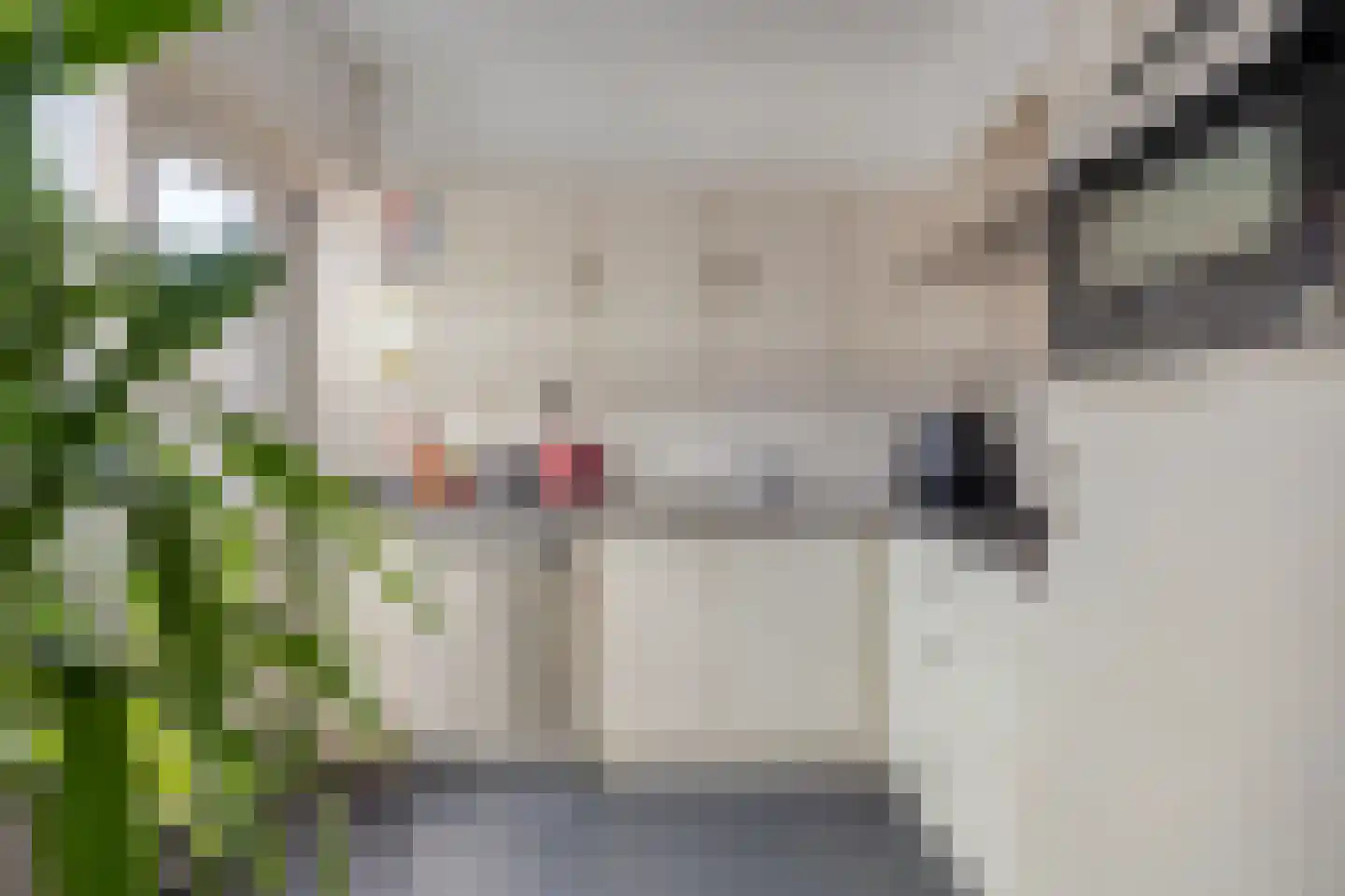Kanariesprenk 203 Vlissingen thumbnail 6