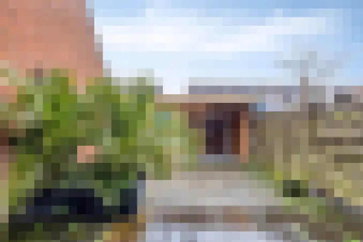 Kanariesprenk 213 Vlissingen thumbnail 21