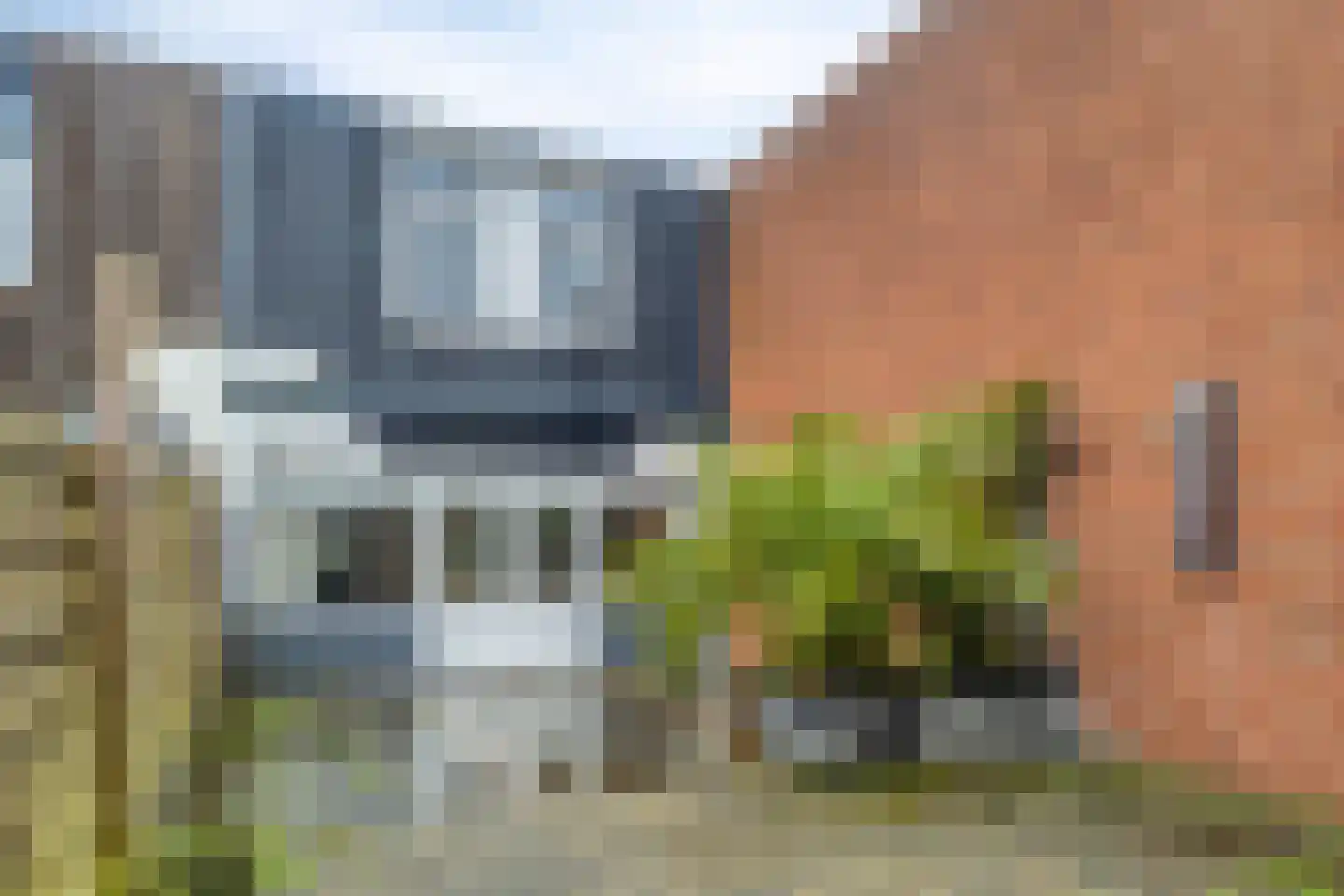Kanariesprenk 213 Vlissingen thumbnail 24