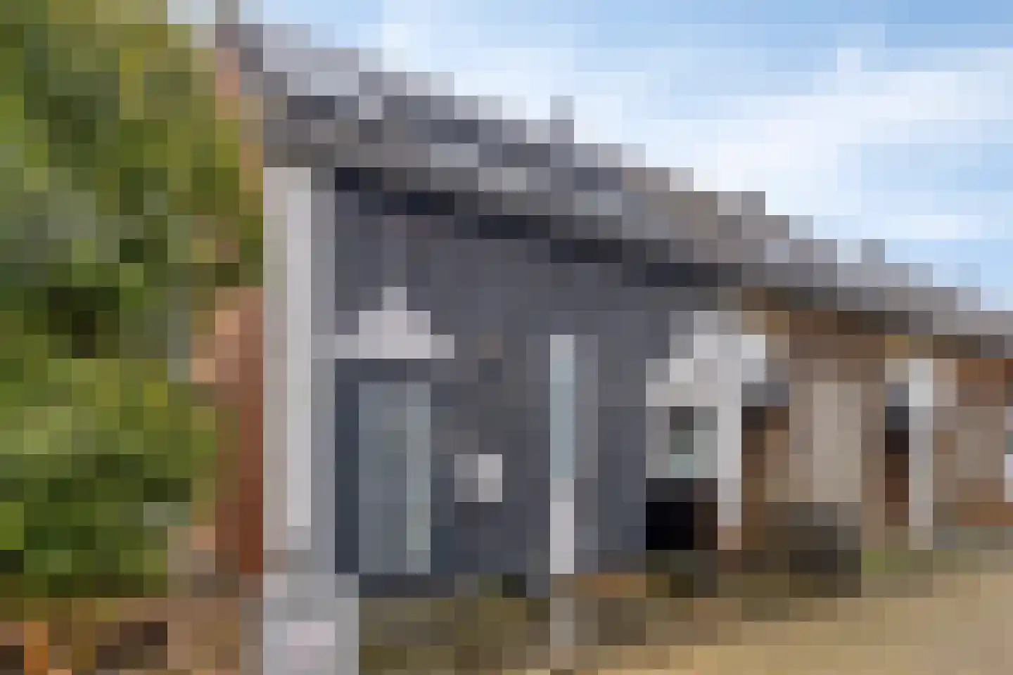 Kanariesprenk 213 Vlissingen thumbnail 25