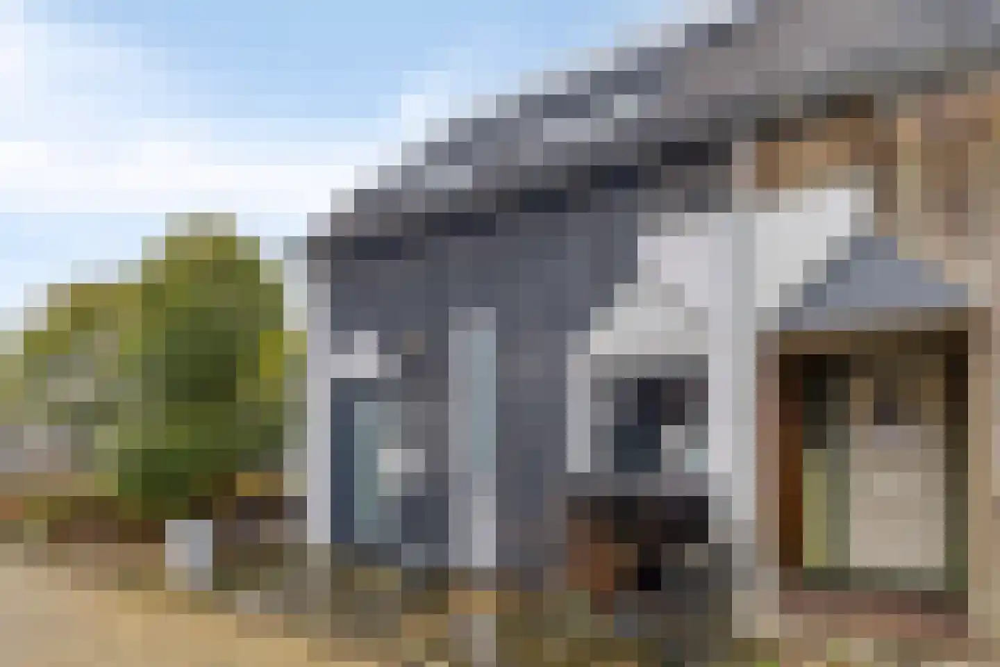 Kanariesprenk 213 Vlissingen thumbnail 27