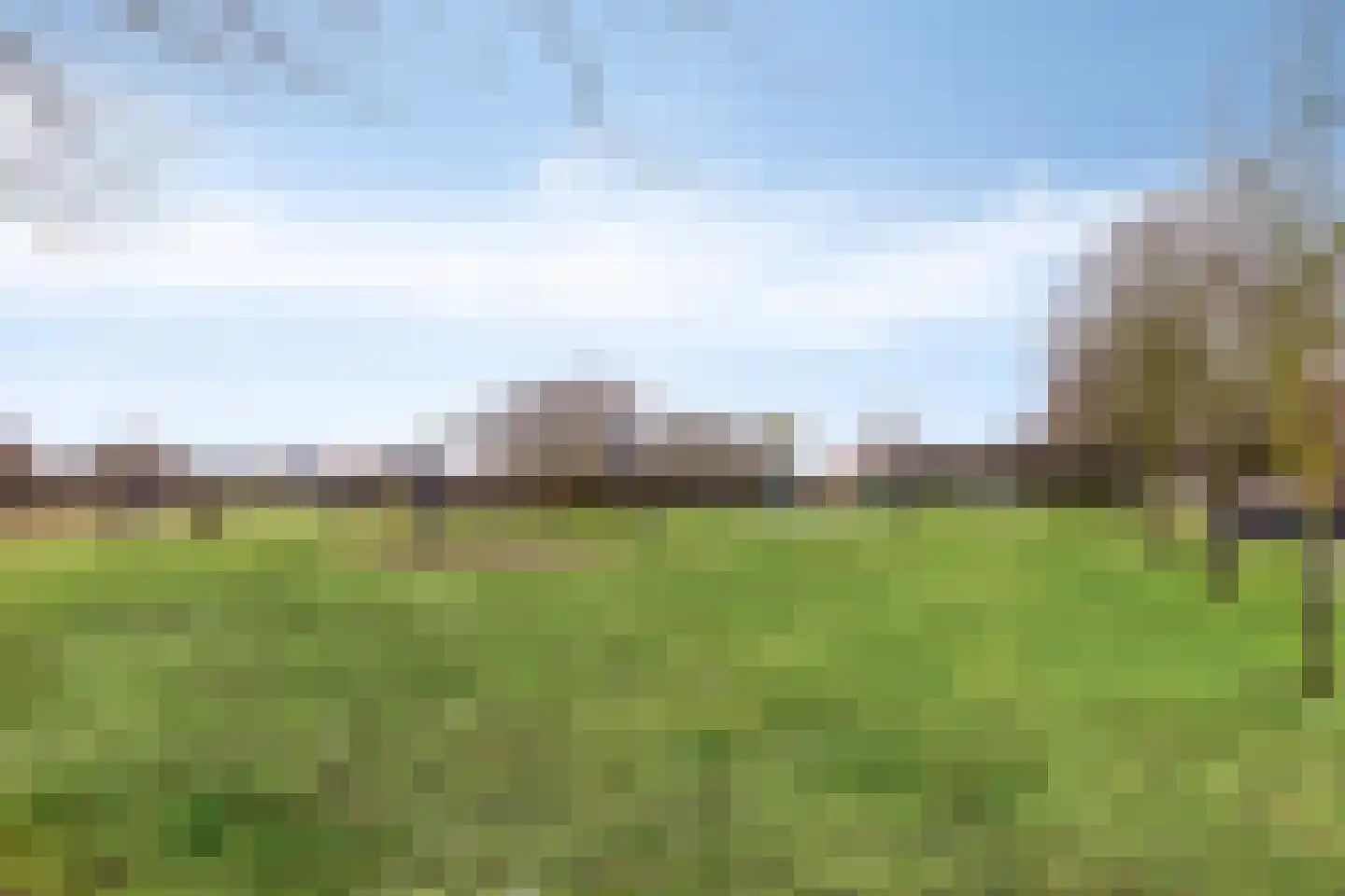 Kanariesprenk 213 Vlissingen thumbnail 28