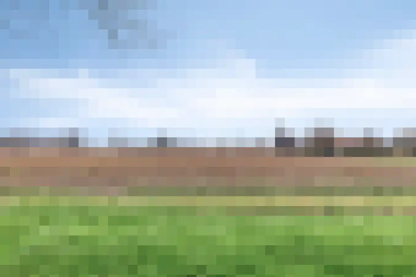 Kanariesprenk 213 Vlissingen thumbnail 29
