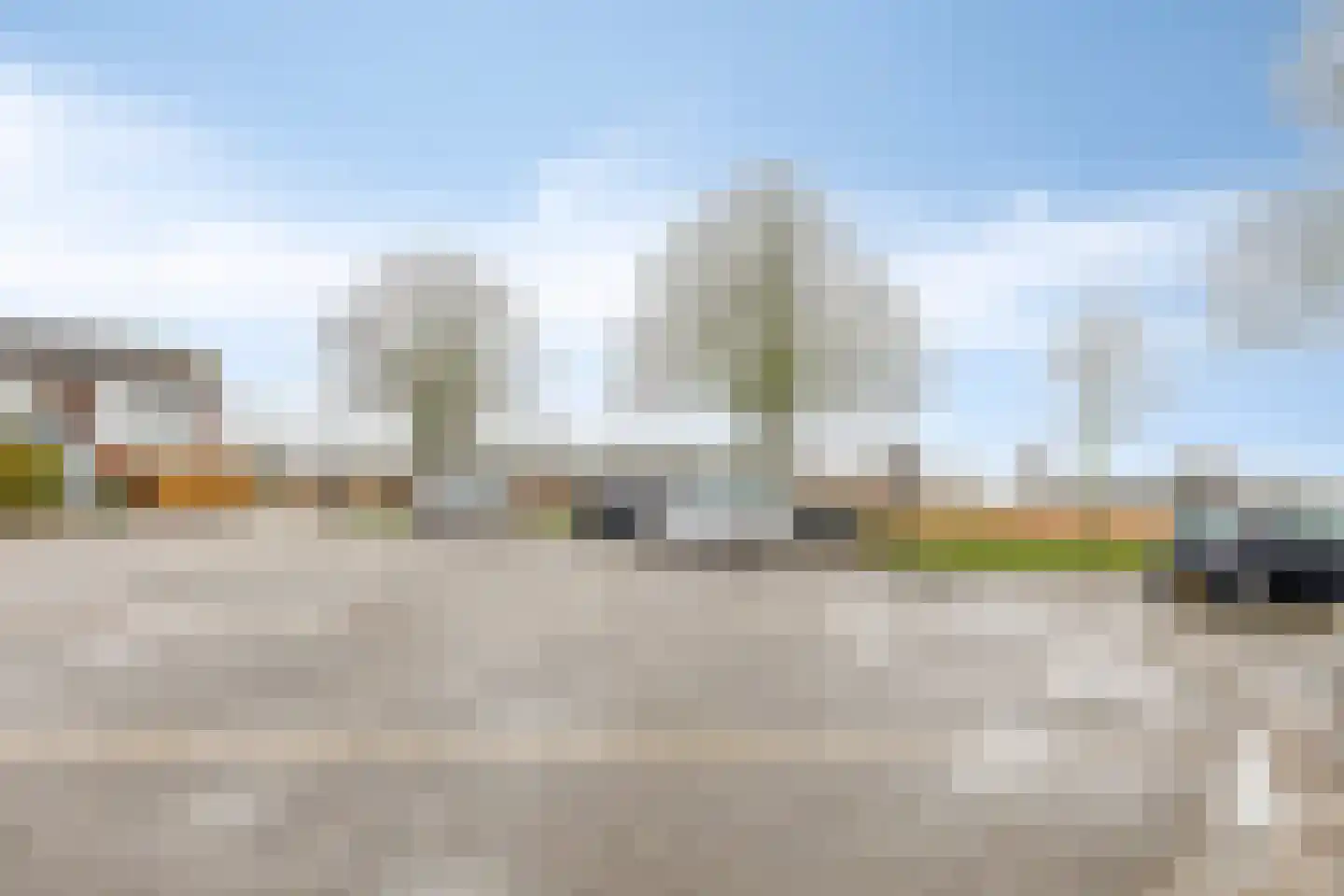 Kanariesprenk 213 Vlissingen thumbnail 30