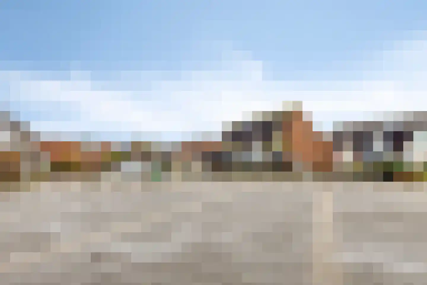 Kanariesprenk 213 Vlissingen thumbnail 31