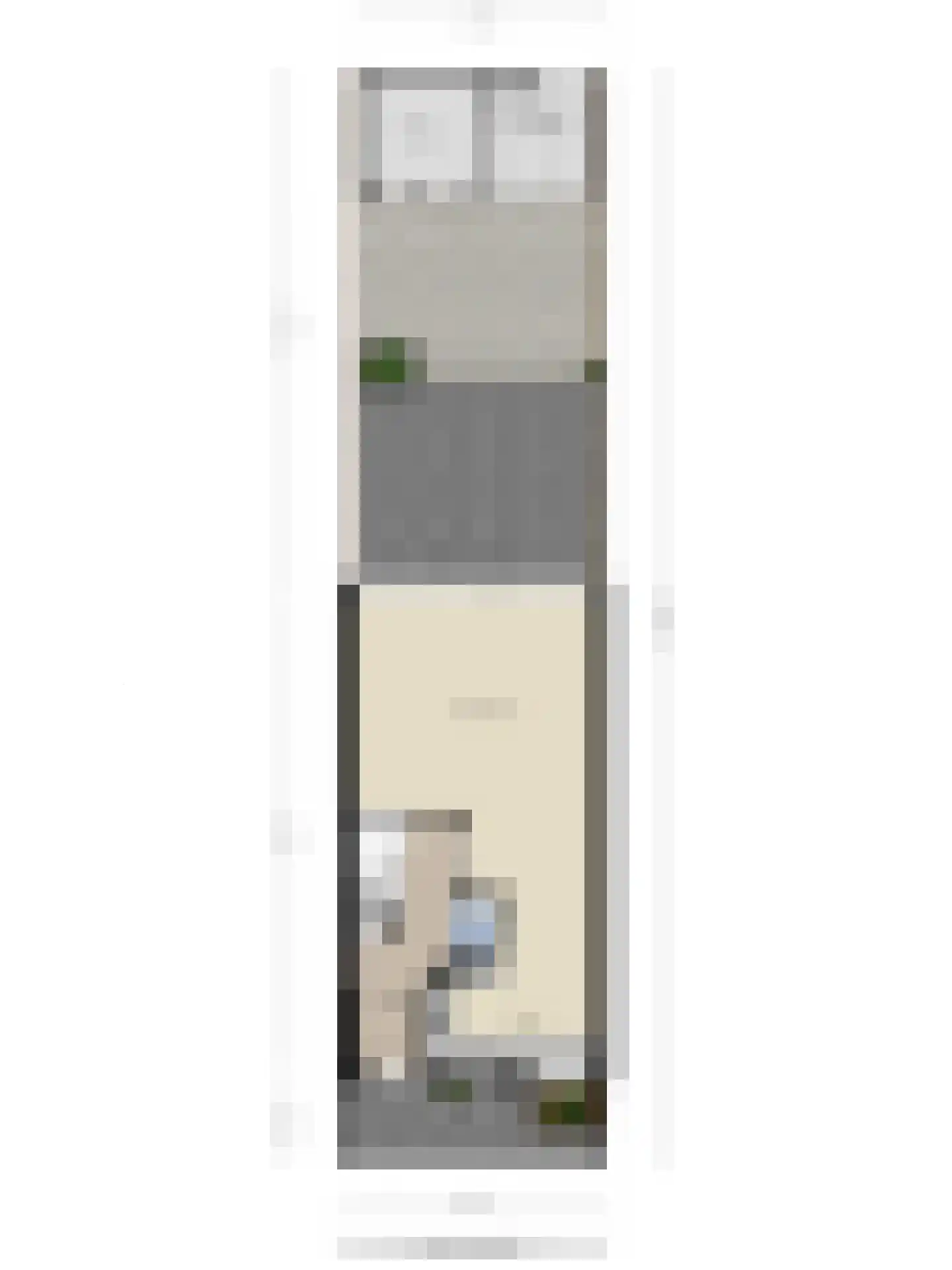 Kanariesprenk 213 Vlissingen thumbnail 33