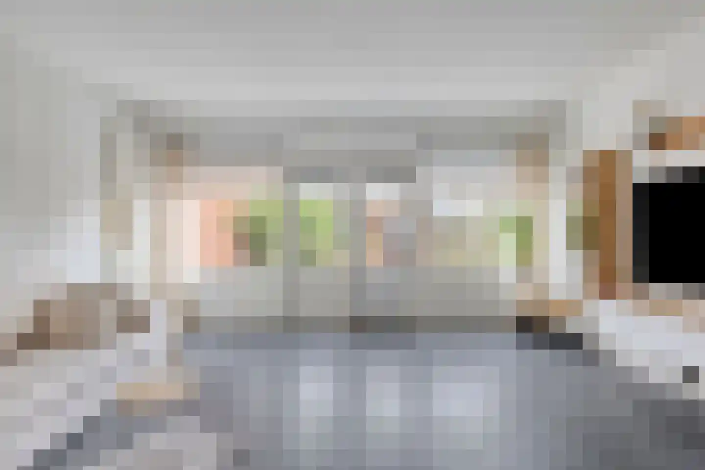 Kanariesprenk 213 Vlissingen thumbnail 4
