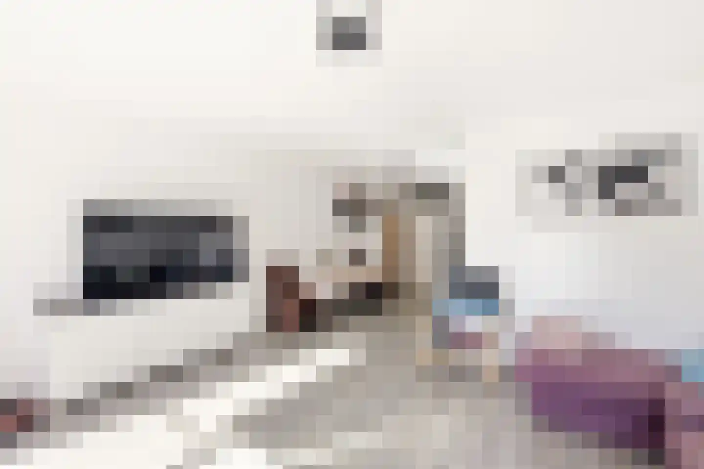 Kanariesprenk 227 Vlissingen thumbnail 13