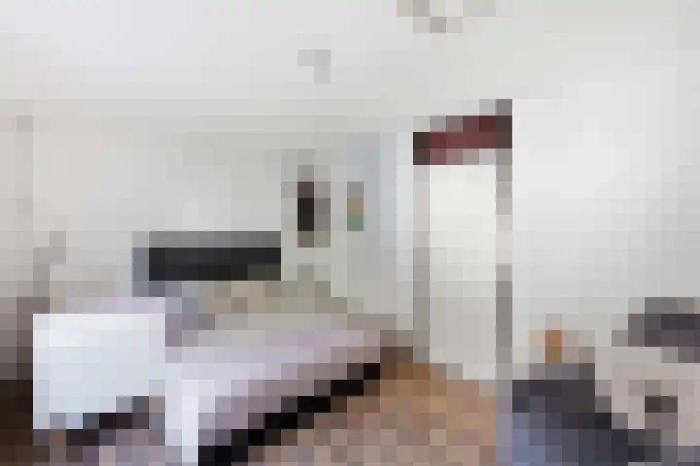 Kanariesprenk 227 Vlissingen thumbnail 21