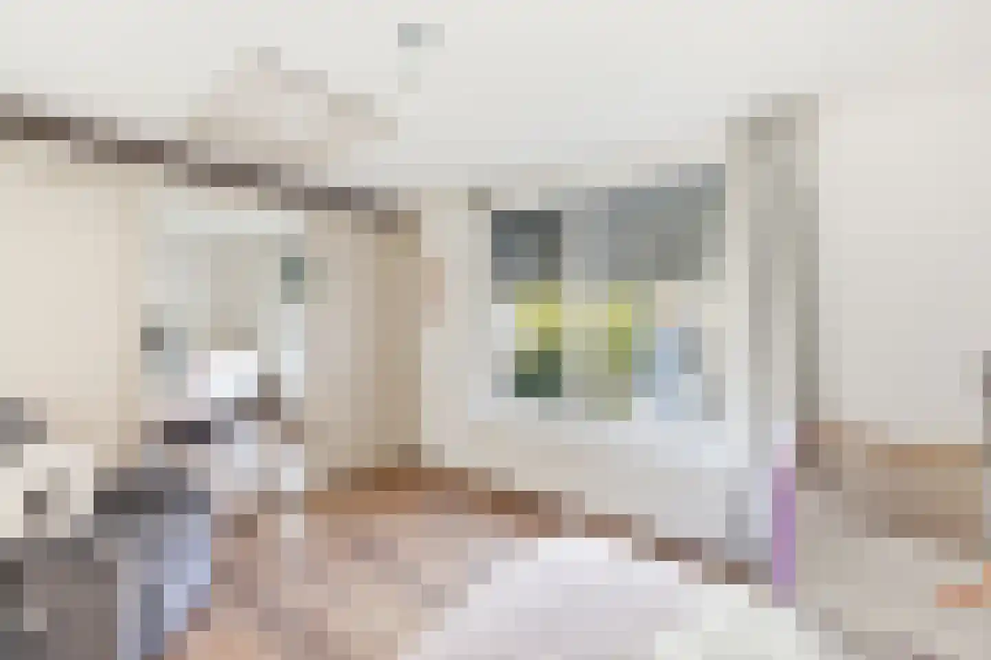 Kanariesprenk 227 Vlissingen thumbnail 22